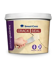 Asian Paints Crack Seal